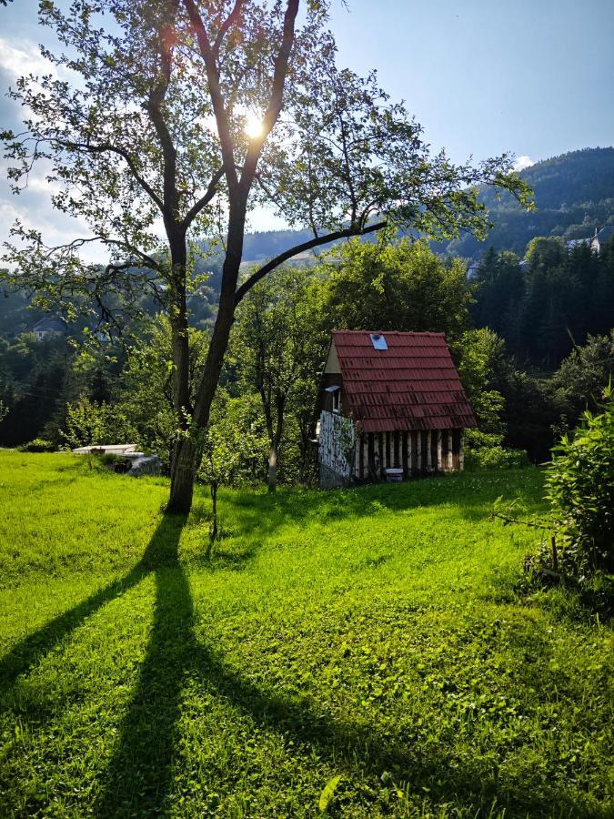 Mini Garden Pension Mojkovac Buitenkant foto
